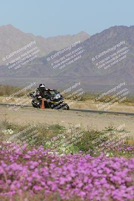 media/Feb-04-2023-SoCal Trackdays (Sat) [[8a776bf2c3]]/Turn 15 Inside Blooming (1050am)/